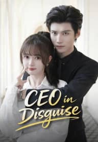 CEO in Disguise poster