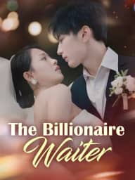 The Billionaire Waiter poster