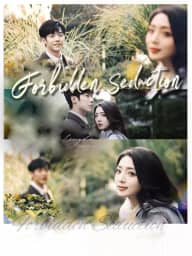 Forbidden Seduction poster