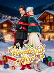 It's A Wonderful Hire poster