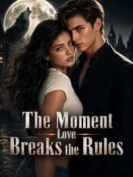 The Moment Love Breaks the Rules poster, on StardustTV