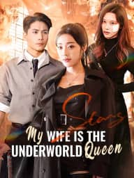 My Wife Is the Underworld Queen poster
