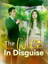 The Wife In Disguise poster