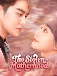The Stolen Motherhood poster