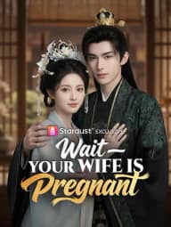 Wait—Your Wife Is Pregnant poster