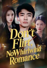 Don't Flirt, No Whirlwind Romance poster