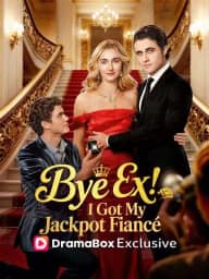 Bye Ex, I Got My Jackpot Fiancé poster