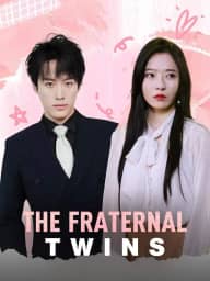 The Fraternal Twins poster