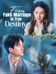From Fake Marriage to True Destiny poster