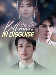 The Billionaire In Disguise poster