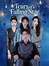 Tears of a Falling Star poster