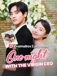 One Night With the Virgin CEO poster