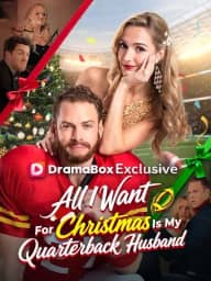 All I Want For Christmas Is My Quarterback Husband poster