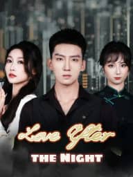 Love After the Night poster