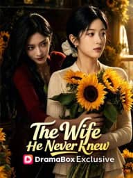 The Wife He Never Knew（DUBBED） poster, on DramaBox