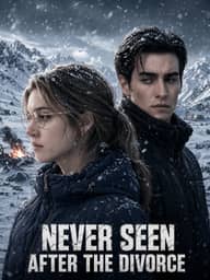 Never Seen After the Divorce poster