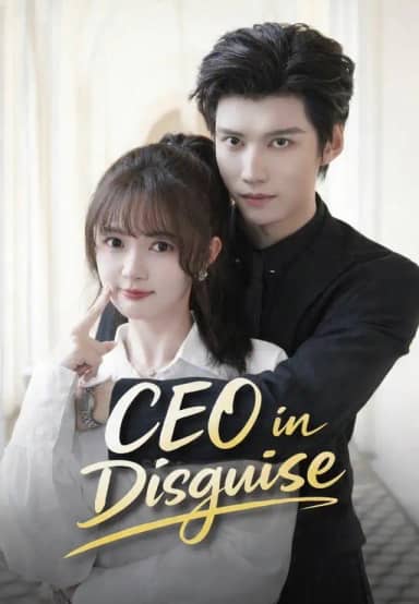 CEO in Disguise poster